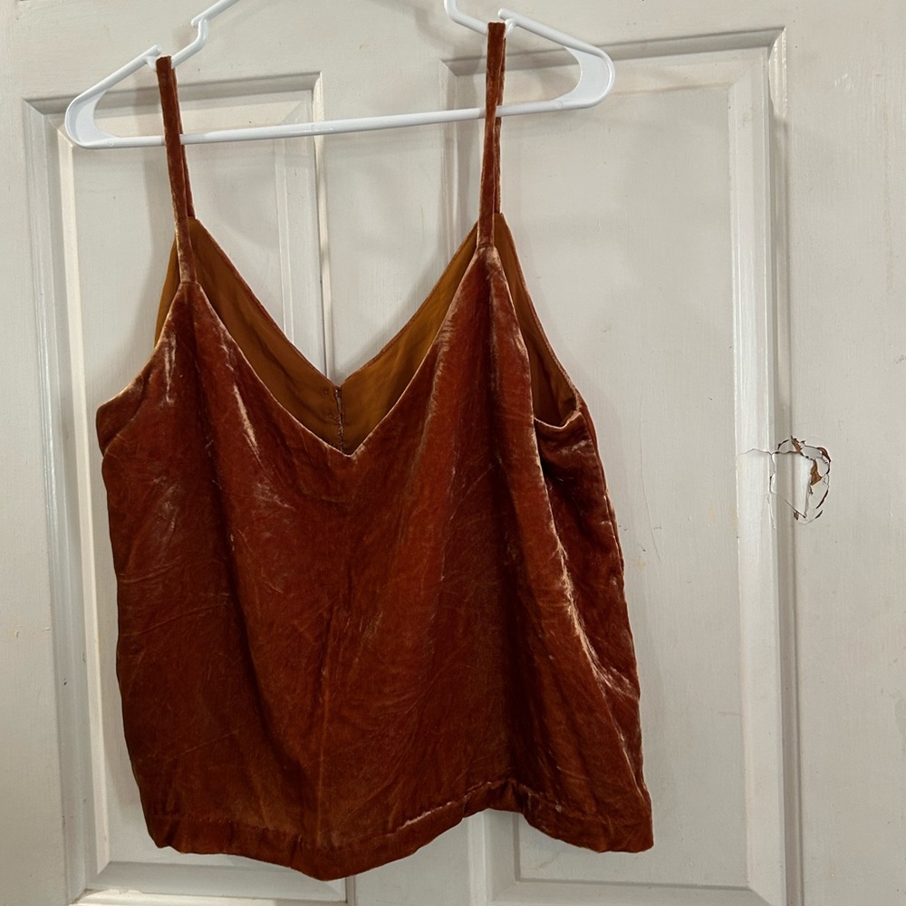 Madewell Velvet Button-Front Cami in Rust Brown - Picture 2 of 2